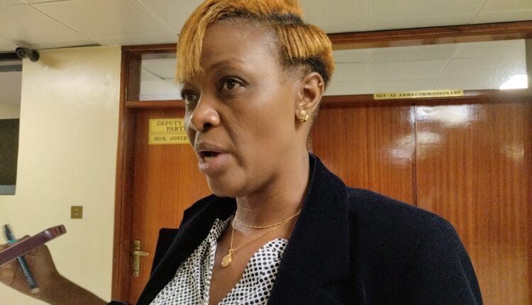 Nairobi South legislator Waithera Chege.