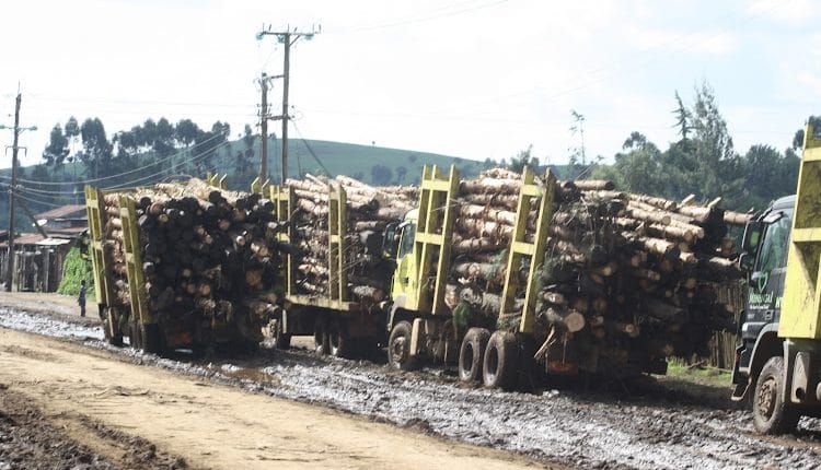 Kenya Forest Service