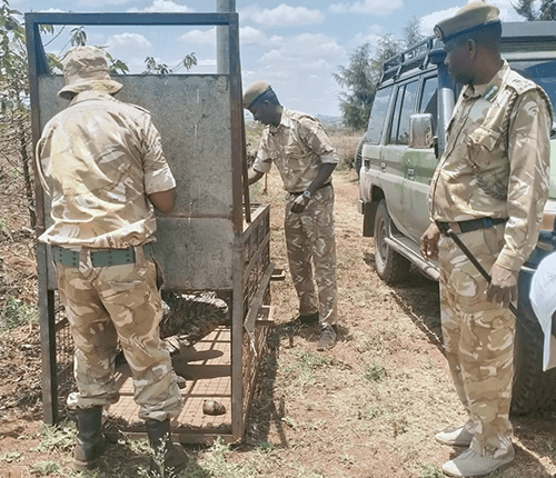 Operation Ondoa Fisi