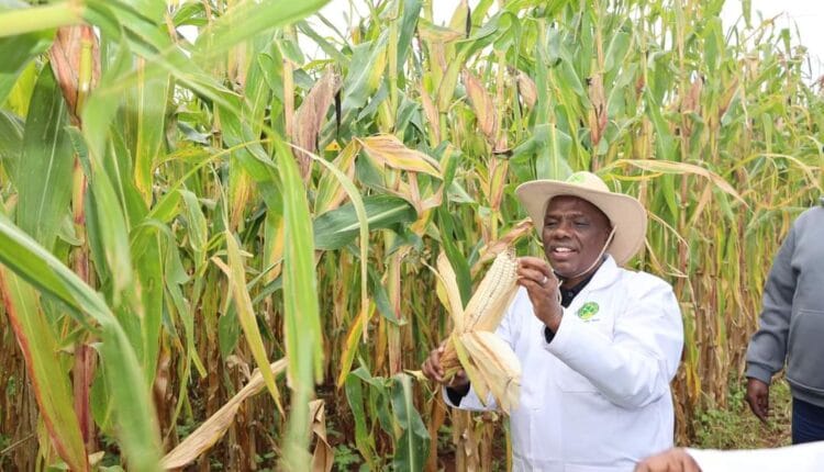 Food and Nutrition Security