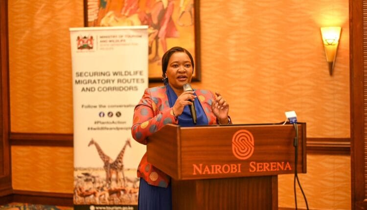 Wildlife Conservation